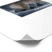 Poster Yellowstone Wolf (Coin)