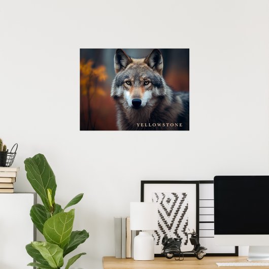Poster Yellowstone Wolf (Bureau à domicile)