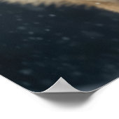 Poster Yellowstone Wolf (Coin)