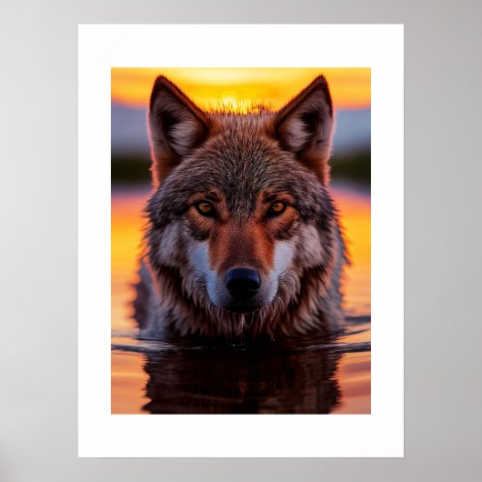 Poster Yellowstone Wolf (Devant)