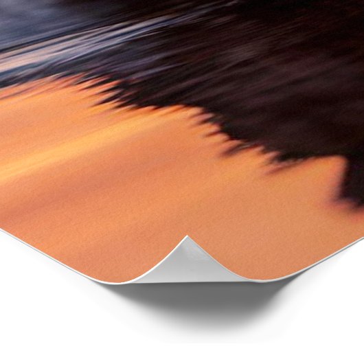 Poster Yellowstone Wolf (Coin)