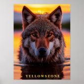 Poster Yellowstone Wolf (Devant)