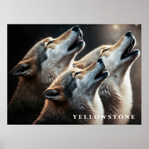 Poster Yellowstone Wolven