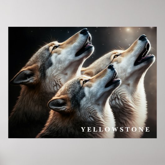 Poster Yellowstone Wolves (Voorkant)