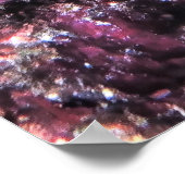 Poster Yellowtail Coris Wrasse (Coin)