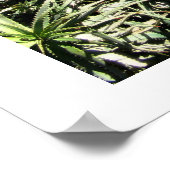 Poster Yemin Moshe (Coin)