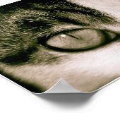 Poster Yeux (Coin)
