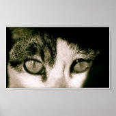 Poster Yeux (Devant)