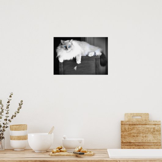 Poster Yeux bleus, (Cuisine)