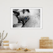 Poster Yeux bleus (Cuisine)