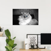 Poster Yeux bleus, (Bureau à domicile)