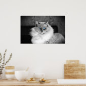 Poster Yeux bleus, (Cuisine)