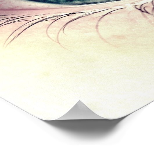 Poster Yeux bleus (Coin)