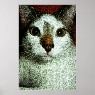 Poster Yeux de Bud