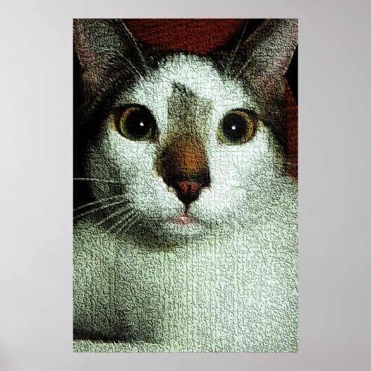 Poster Yeux de Bud (Devant)