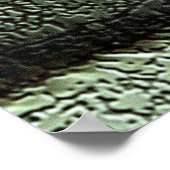 Poster Yeux de Bud (Coin)