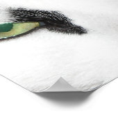 Poster Yeux de chat (Coin)