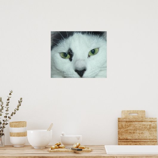 Poster Yeux de chat (Cuisine)