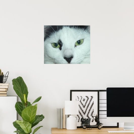 Poster Yeux de chat (Bureau à domicile)