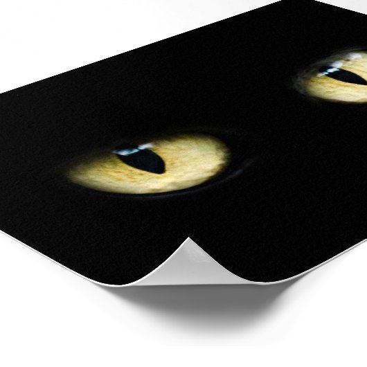 Poster Yeux de chat (Coin)