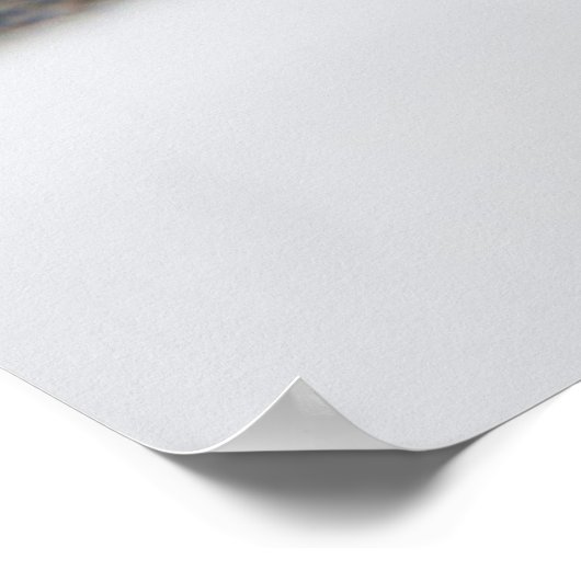 Poster Yeux de chat (Coin)