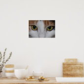 Poster Yeux de chat (Cuisine)