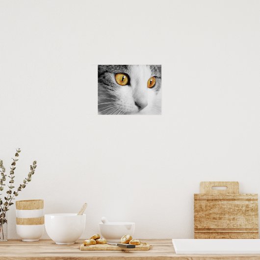 Poster Yeux de chat (Cuisine)