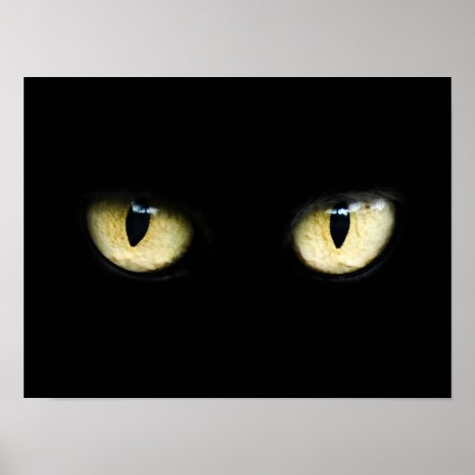 Poster Yeux de chat (Devant)