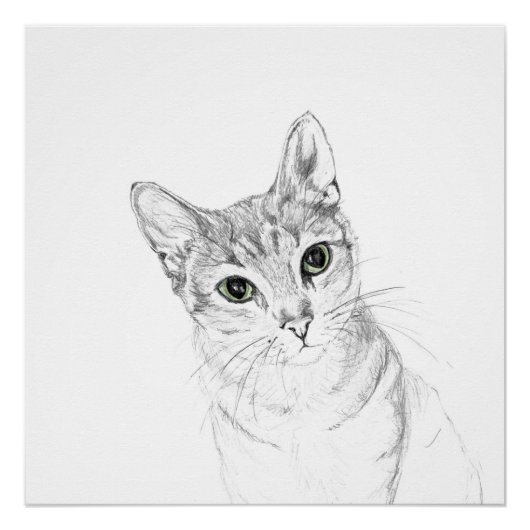 Poster Yeux de chat Un dessin au crayon (Devant)
