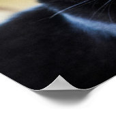 Poster yeux de chaton magique (Coin)