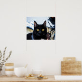 Poster yeux de chaton magique (Cuisine)