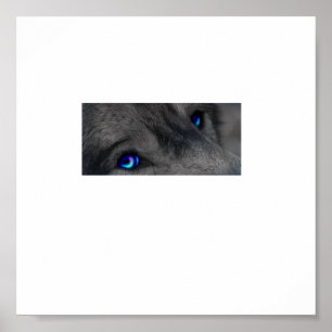 Poster Yeux de loup