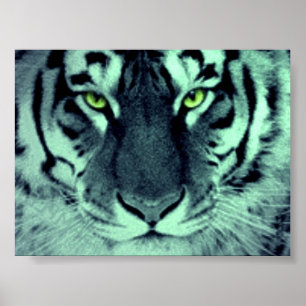 Poster Yeux de tigre