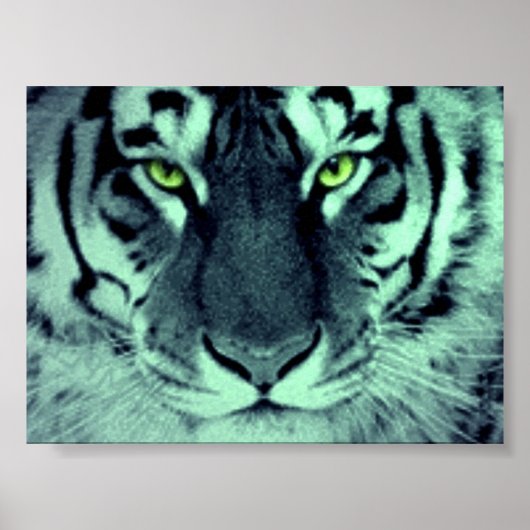 Poster Yeux de tigre (Devant)
