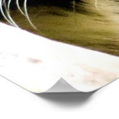 Poster Yeux de tigre (Coin)