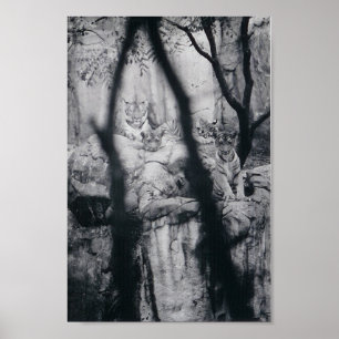 Poster Yeux de tigre