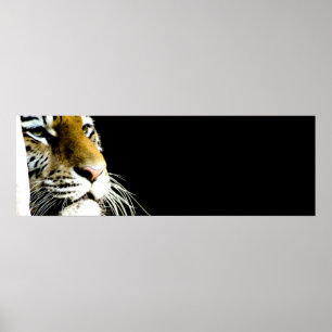 Poster Yeux de tigre