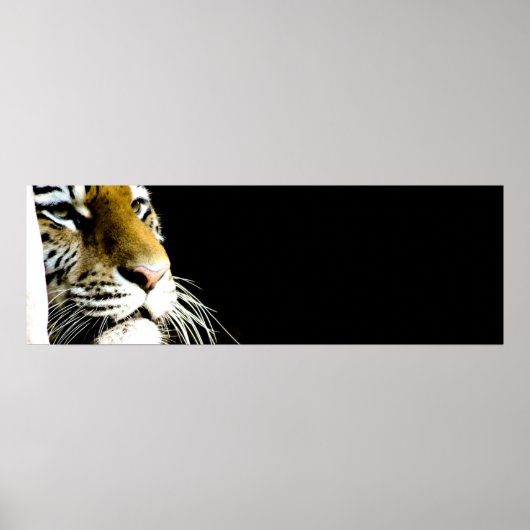 Poster Yeux de tigre (Devant)