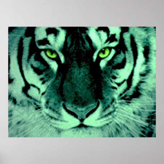 Poster Yeux de tigre (Devant)