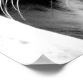 Poster Yeux de tigres noirs et blancs (Coin)