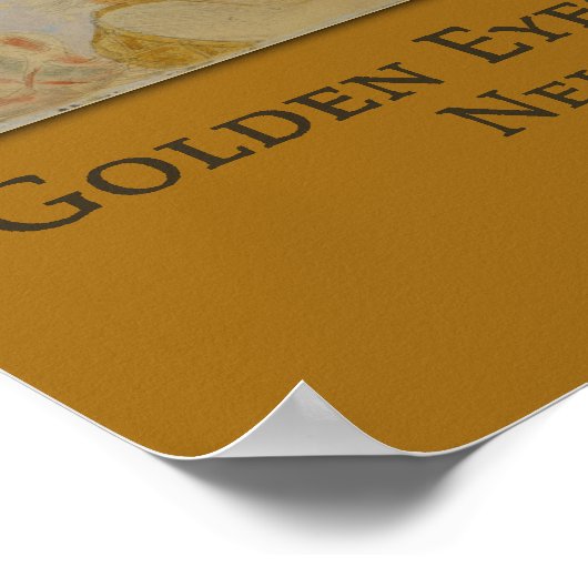 Poster Yeux d'or avec Oncle Sam (Chien) par Nell Brinkley (Coin)