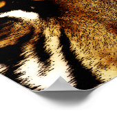 Poster Yeux d'un tigre (Coin)