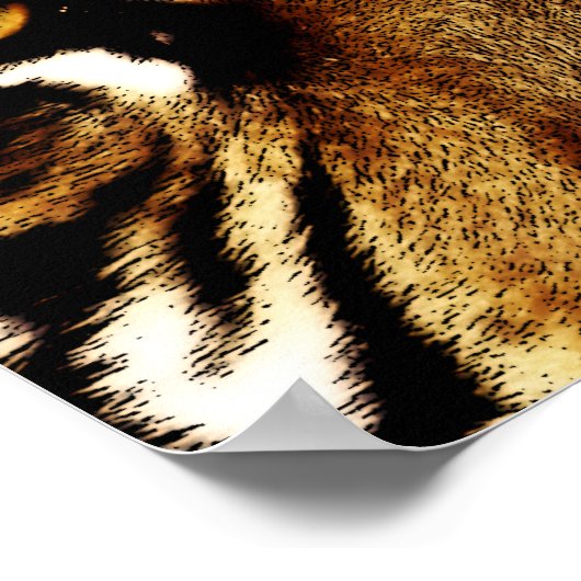 Poster Yeux d'un tigre (Coin)