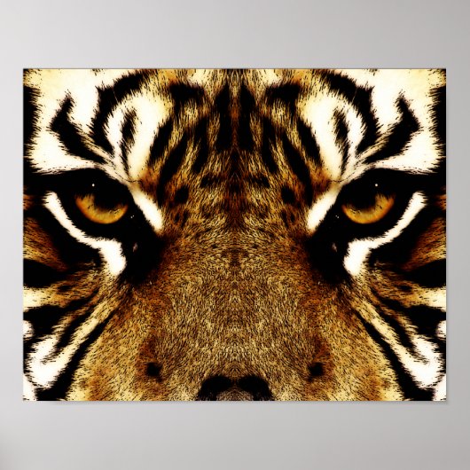 Poster Yeux d'un tigre (Devant)