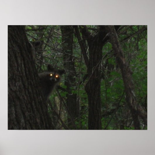 Poster Yeux nocturnes (Devant)