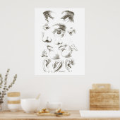 Poster Yeux, Profil, Dessin des oreilles, 17ème siècle, v (Cuisine)