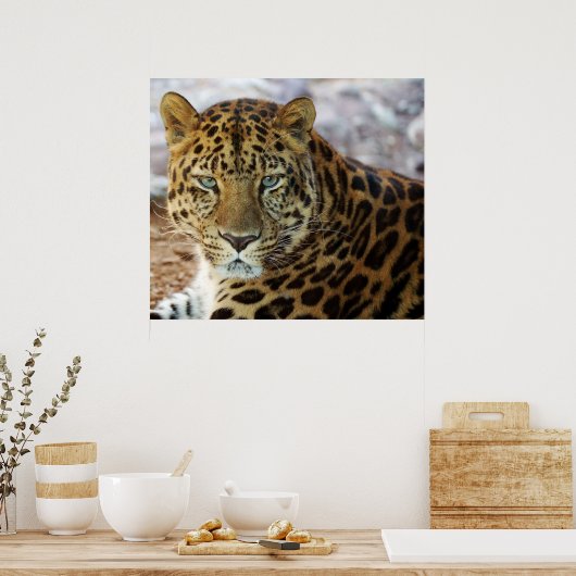 Poster Yeux verts ! (Cuisine)