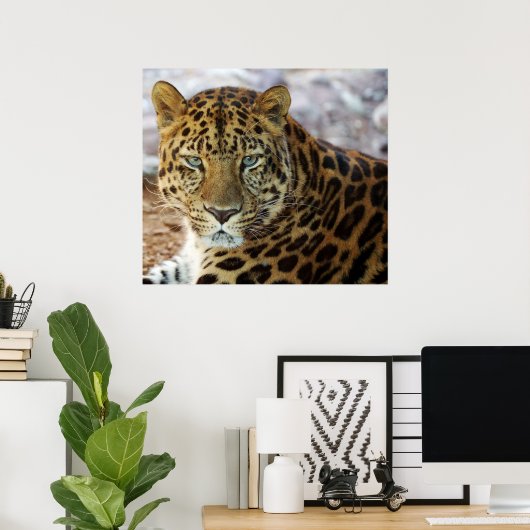 Poster Yeux verts ! (Bureau à domicile)