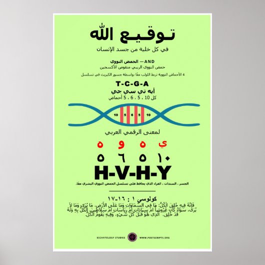 Poster YHVH dans l'ADN - arabe (Devant)