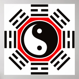 POSTER YIN ET YANG